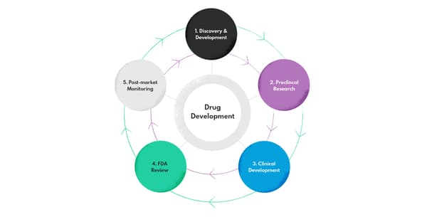Areas where using AI can help in new drugs discovery and development