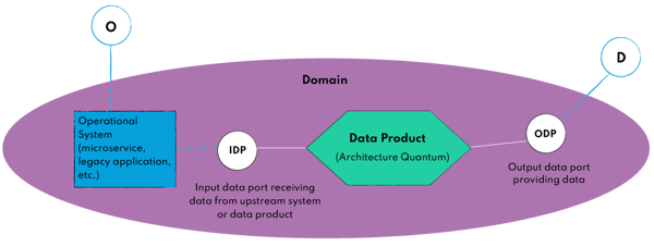 Domain data product