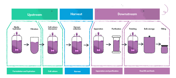 Upstream and downstream processing