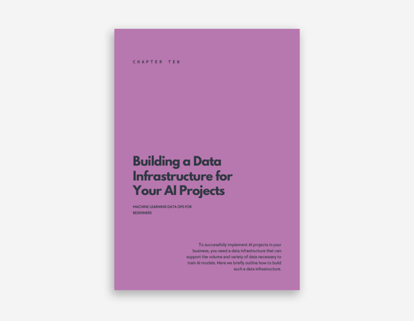 The Art of Building an AI-Driven Company – Ebook cover