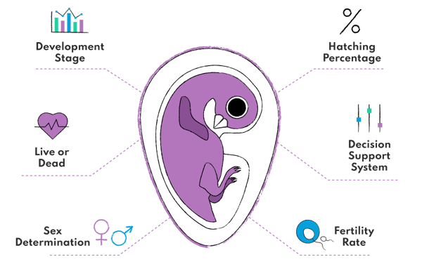 Precision livestock farming technology and AI in hatcheries to support embryos development, reproductive performance, and improve automated monitoring of laying hens and egg production