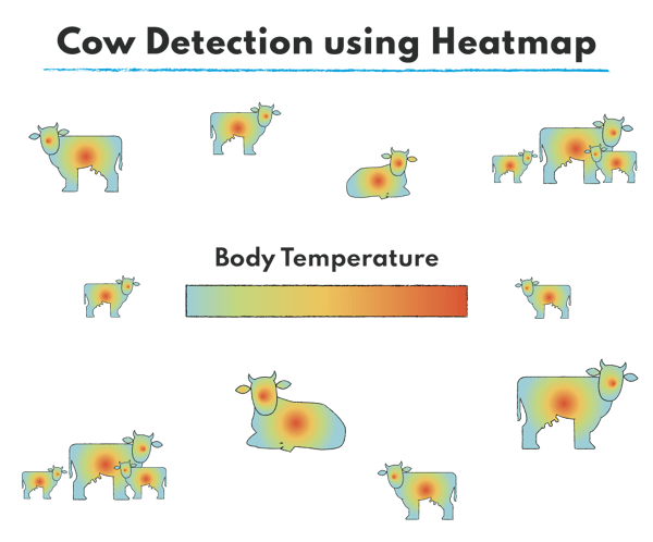 Livestock management system and camera technology for body temperature analysis to support early detection of heat distress and assessing health status 