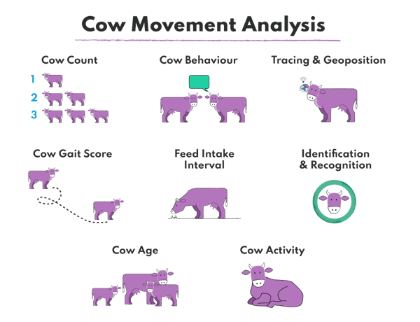 Livestock farming technologies to improve animal handling - cow movement analysis with identifying cow behaviour and activity, feed intake, and rumination monitoring