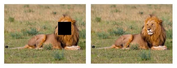 lion picture with and without cutout