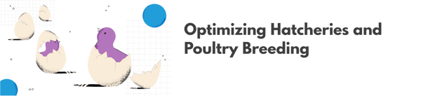 Optimizing Hatcheries and Poultry Breeding