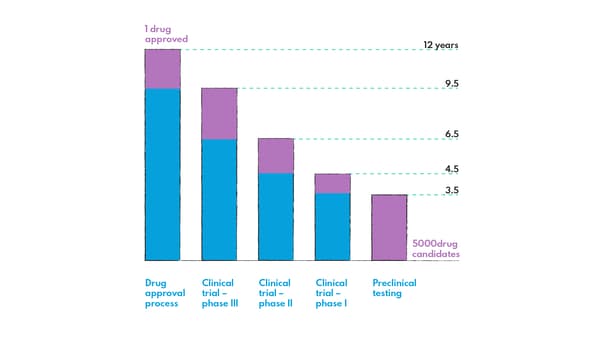 Success rates and time spent on clinical trial phases