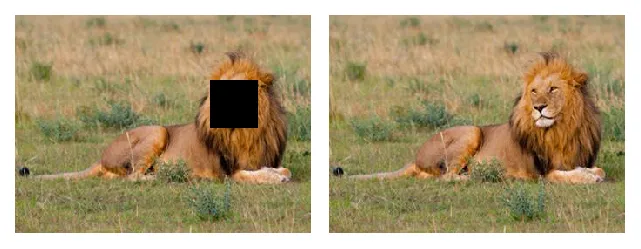 lion picture with and without cutout